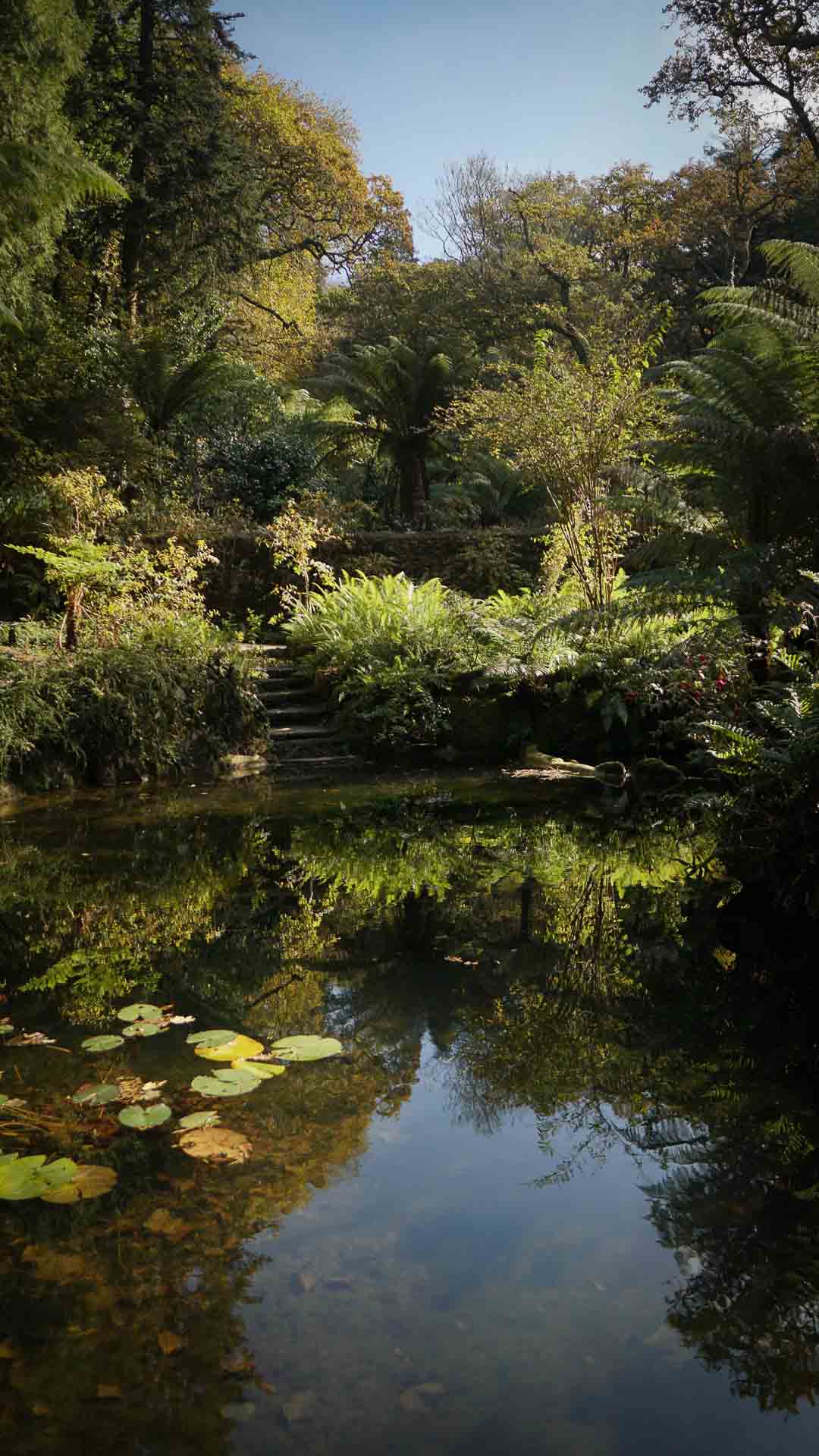 Jaw-Dropping Images Of Pena Palace & Gardens in Sintra, Portugal The ...