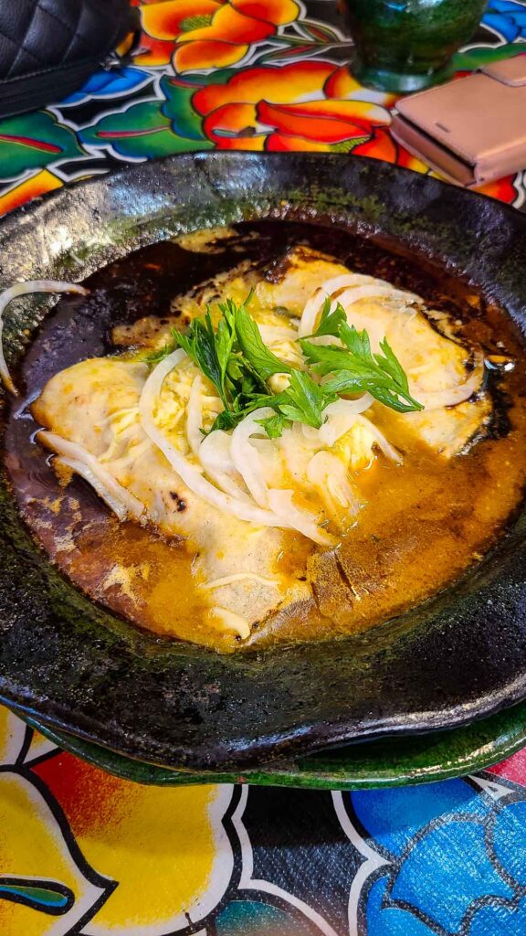 Mole enchiladas on a vibrant tablecloth in Oaxaca Mexico