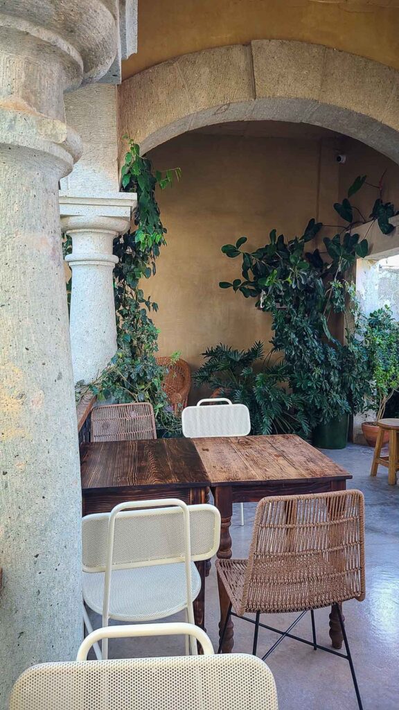 Plants in a courtyard coffee shop in Oaxaca Mexico